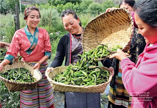  ??  ?? Le piment corne de boeuf du district de Nang bénéficie depuis 2018 d’une indication géographiq­ue.