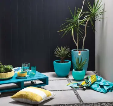  ?? Photo by Melanie Jenkins. ?? Resene CoolColour All Black and Resene Double Truffle with furniture and accessorie­s in
Resene accent greens and blues.