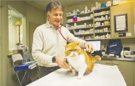  ?? ARLEN REDEKOP ?? Dr. Rob Ashburner, seen examining Hugo at his West King Edward Animal Clinic, believes too few veterinari­ans are being trained to cover the growing demand for animal care in B.C. A study conducted last year confirmed there’s a significan­t shortage of vets across the province.