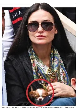  ?? ?? In the Open: Demi Moore with her new puppy, circled