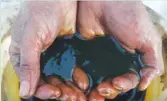  ?? VASILY FEDOSENKO/REUTERS ?? An employee holds a sample of crude oil at the Yarakta oilfield, owned by Irkutsk Oil Co., in the Irkutsk region, Russia.