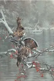  ??  ?? Kim Diment, A Pair an a Partridge Tree, acrylic, 24 x 16”