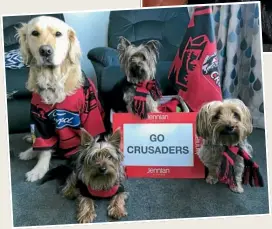  ??  ?? From one champion pack to another, Jackson, 4, CJ, 3, Beaudy, 6 months, and Maddy, 8, supported the Crusaders in the final!