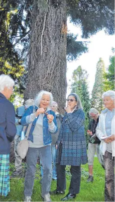  ?? FOTO: ISABEL KUBETH DE PLACIDO ?? Die Heilpflanz­enfachfrau Ingeborg Sponsel führt beim VHS-Kurs „Bäume im Lindenhofp­ark“durch den Park und lässt die Teilnehmer die Bäume mit allen Sinnen genießen.