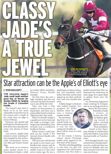  ??  ?? ODDS ON FAVOURITE Apple’s Jade is difficult to oppose on seasonal debut at Navan today