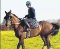  ?? Picture: David Pipe ?? Jockey Guy Disney on Rathlin Rose