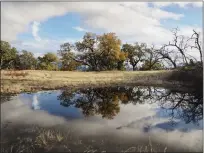  ?? PHOTO BY KAREN RIFKIN ?? Fall oak reflected in pond.