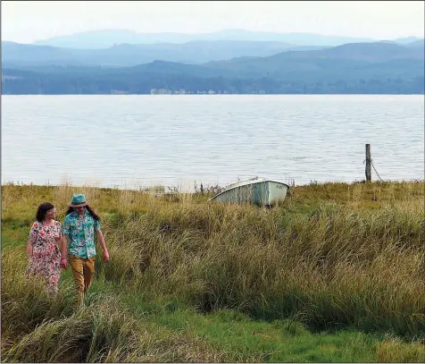  ??  ?? Sea grasses flourish at the edge of Willapa Bay in Oystervill­e, Wash. The tiny town on the Long Beach Peninsula is a haven for oysters and solace-seeking oyster fans.