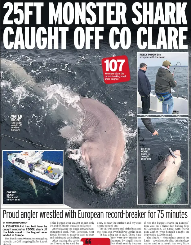  ??  ?? WATER SIGHT The sixgill caught off coast of Co Clare REELY TOUGH Ben struggles with the beast ON THE HOOK Shark is brought boat-side ONE BIG BEAST Shark next to 40ft boat