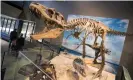  ?? Photograph: Brian van der Brug/Los Angeles Times/Getty Images ?? A tyrannosau­r skeleton on display at the Natural History Museum of Utah in 2017. The fossils were found at the mass grave in the Grand Staircase-Escalante National Monument.