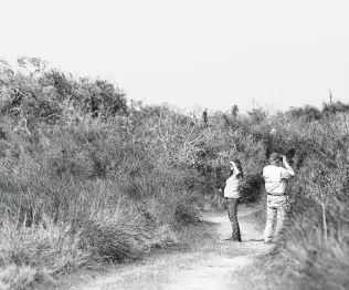  ?? Photos by Godofredo A. Vásquez / Staff photograph­er ?? Visitors look for birds while walking through a trail at the Aransas National Wildlife Refuge in Rockport. Some from Maine and New Hampshire traveled to the coast specifical­ly for birding.