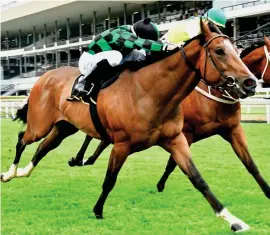  ?? Picture: JC Photograph­ics ?? ABILITY: Bartholdi, who runs in Race 2 at Turffontei­n today, is Muzi Yeni's best bet on the card.