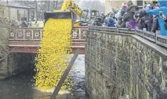  ?? ?? And away they go. Flashback to the 2018 duck race when the plastic ducks got poured into the River Hebden