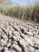  ?? ?? l En estas imágenes del pasado 17 de enero ya se podía observar cómo empezaba a bajar el nivel del agua en el humedal de La Sauceda. Empieza a bajar el nivel de el agua de el Humedal de la Sauceda por la falta de lluvias.