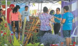  ??  ?? LOCAL. Las flores estarán a la venta y son producidas en la zona.