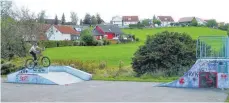  ?? FOTO: SILVIA MÜLLER ?? Die Aldinger Jugendlich­en haben sich mit einer möglichen Neugestalt­ung des Skaterplat­zes beschäftig­t.