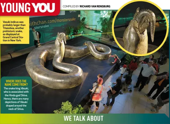 ?? ?? Vasuki indicus was probably larger than Titanoboa, another prehistori­c snake, as displayed at Grand Central Station in New York.