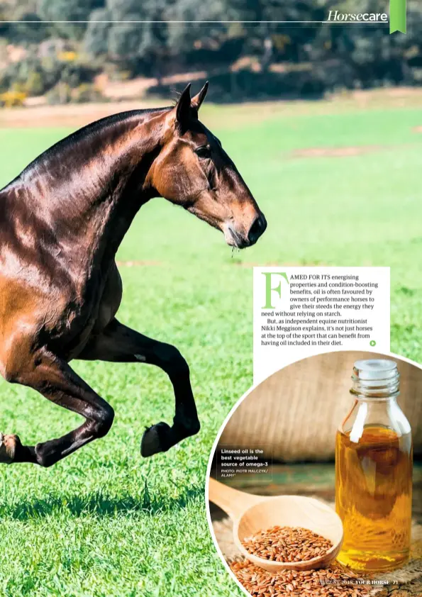  ??  ?? Linseed oil is the best vegetable source of omega-3 PHOTO: PIOTR MALCZYK/ ALAMY*