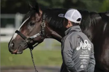  ?? JULIE JACOBSON — THE ASSOCIATED PRESS ?? Belmont Stakes hopeful Epicharis pauses while grazing outside his barn with an assistant trainer at Belmont Park, Thursday in Elmont, N.Y. Epicharis will be one of 12 horses competing in the 149th running of the Belmont Stakes horse race on Saturday.