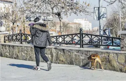  ??  ?? Una joven lleva a un perro, ayer, en la barriada de San Blas.