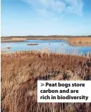  ?? ?? > Peat bogs store carbon and are rich in biodiversi­ty