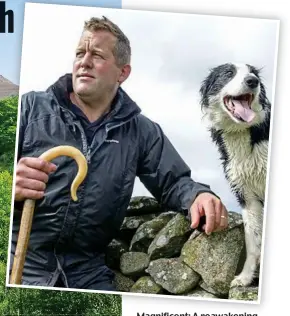  ??  ?? Magnificen­t: A reawakenin­g in the Lake District fells. Inset, James and Floss