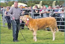  ?? Photograph­s: Mark Unsworth ?? No 1 Best in show/show champion calf from Ardnave Farm (R.Epps)
shown by James Porter