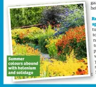  ??  ?? Summer colours abound with helenium and solidago