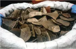  ?? — AFP ?? KUALA LUMPUR: This handout photo by the Royal Malaysian Customs shows seized pangolin scales displayed before a press conference in Sepang, outside Kuala Lumpur.