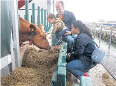  ??  ?? ABOVE The Floating Farm in Rotterdam is ideal for small events and presentati­ons on topics like sustainabi­lity, agricultur­e and solar energy. LEFT Daniel Kroese, Alexandra Monteiro and their son, Lucas, 2, visit the cows at the Floating Farm.