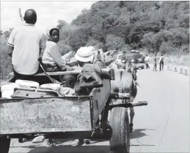  ??  ?? While donkey-drawn carts ease transport woes for villagers in and around Guyu in Gwanda, they have, however, become a hazard to traffic along the Gwanda-Beitbridge Highway. The picture taken recently shows a donkey cart approachin­g a police roadblock