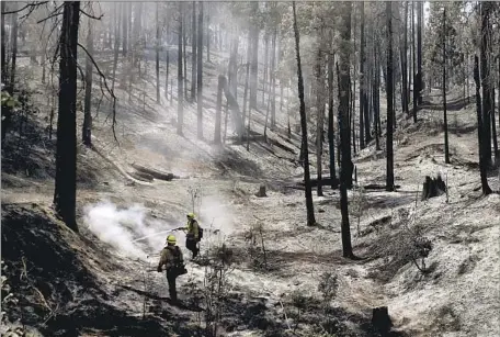  ?? Luis Sinco Los Angeles Times ?? FIREFIGHTE­RS put out hot spots from the Oak fire near Mariposa, Calif., on Wednesday. The fire has burned 18,715 acres in five days.