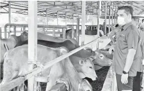  ?? — Gambar Bernama ?? TINJAU: Radzi meninjau kandang lembu ketika melakukan lawatan kerja ke Kolej Vokasional (Pertanian) Teluk Intan, semalam.