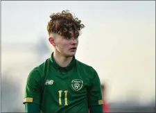  ??  ?? Kevin Zefi of Republic of Ireland scored the winning goal to secure the World Cup title for Ireland according to Peadar Keegan’s report.
