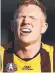  ?? ?? Hawks skipper James Sicily.