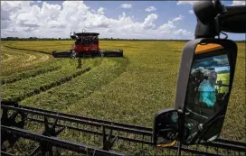  ?? MICHAEL CIAGLO / HOUSTON CHRONICLE ?? Combines harvest rice at Ray Stoesser’s farm in late July in Raywood. For the Stoesser farm, selling to China could mean a bigger financial cushion in a business that can see a year’s income decimated by floods or drought or both.