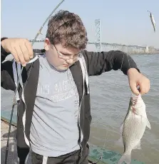  ??  ?? Logan Bueckert, 12, pulls a silver bass from the Detroit River on Saturday.