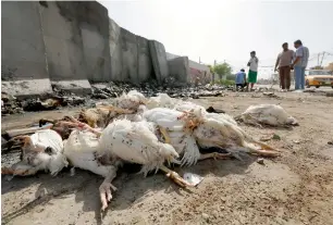  ?? AFP ?? Dead chickens are seen at the site of a suicide bomb attack in the Amil district of Baghdad. —