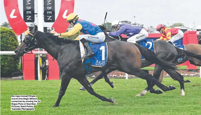 Lipp looks to hot Cifrado for Magic - PressReader