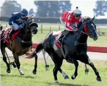  ?? PHOTO: RACE IMAGES ?? Chris Johnson returns to ride Sensei in the 2000 Guineas.