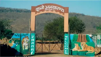  ??  ?? GATEWAY TO NOWHERE The entrance to the Palpur-Kuno sanctuary