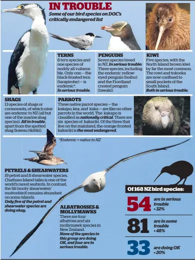  ??  ?? All in trouble, Only five of the petrel and shearwater species are doing okay. In serious trouble. None of the species in this group are doing OK, and four are in serious trouble. In serious trouble: nationally critical. the most endangered. Both in...