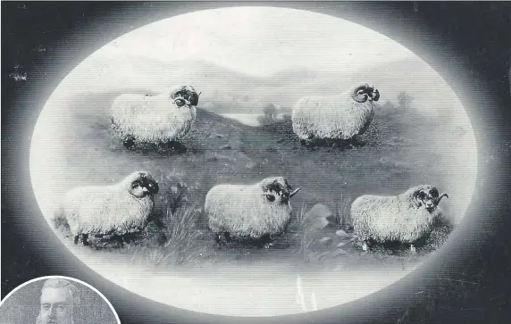  ??  ?? A photograph from 1930 of Woolfords Rams and, inset, Charles Howatson, ‘The Laird of Glenbuck’.