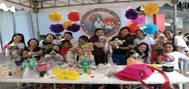  ??  ?? The top right photo shows a pet-owner team negotiatin­g the Dog Maze, a contest that had the audience on its feet, cheering. Above, Shih Tzu owners show off their fur babies. The photo on the left shows two of Dog Coach Francis Cleofas’ dogs; Selena,...