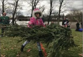  ?? PHOTO SUBMITTED BY BRENDAN FAY ?? Kids and adults alike had a blast trying to throw a Christmas tree just before taking the Polar Plunge in the Schuylkill River.