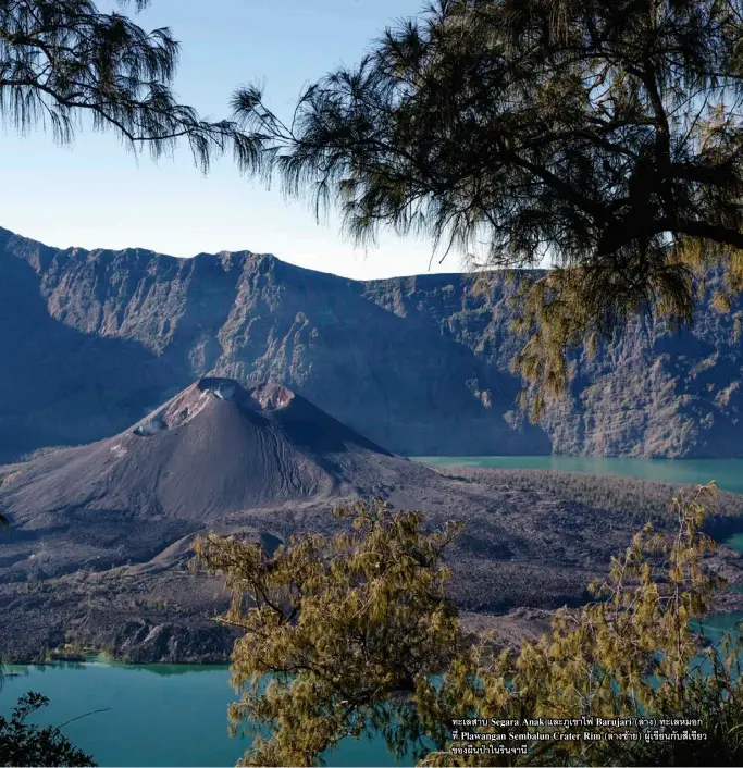  ??  ?? ทะเลสาบ Segara Anak และภูเขาไฟ Barujari (ล่าง) ทะเลหมอก ที่ Plawangan Sembalun Crater Rim (ล่างซ้าย) ผู้เขียนกับสีเขียว ของผืนป่าในรินจานี