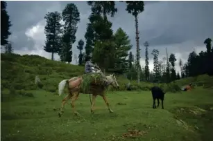  ??  ?? A Gujjar chi l d riding a horse after returning from the fie with green fodder for his catt l e (Zafar Dar)