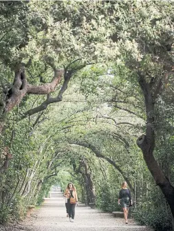  ??  ?? Victorian playwright Robert Browning and his wife, poet Elizabeth Barrett Browning, often visited the Boboli Gardens with their son, Pen.