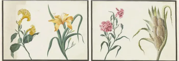  ??  ?? COLLECTION­S: (Above) Louisa Parlby’s flora watercolou­rs; and (inset below left, from top) silver-inlaid candlestic­k; and gold enamelled sword and fittings