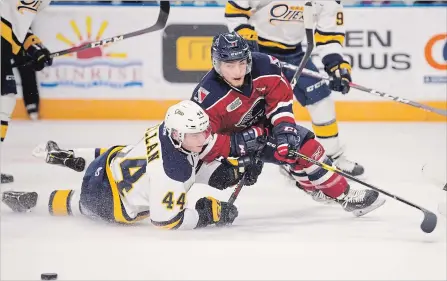  ?? PETER LEE WATERLOO REGION RECORD ?? Kitchener Rangers’ Mike Petizian, right, is checked by the Erie Otters’ Brendan Sellan at the Aud Tuesday. See game story at therecord.com.